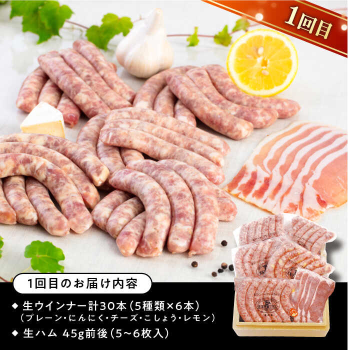 【ふるさと納税】【全3回定期便】本場ドイツで連続金賞受賞！本格 ウインナーの バラエティ 定期便 ( ウインナー / ハム / 生ウインナー / 生ハム ) 糸島 / 糸島手造りハム [AAC009] 贈答 ギフト 43000円 サムネイル2