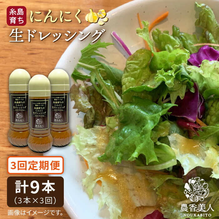 【全3回定期便】糸島そだちのにんにくドレッシング×3本セット 糸島市 / 農香美人 [AAG021] 34000円