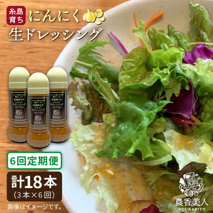 【全6回定期便】糸島そだちのにんにくドレッシング×3本セット 糸島市 / 農香美人 [AAG022] 67000円