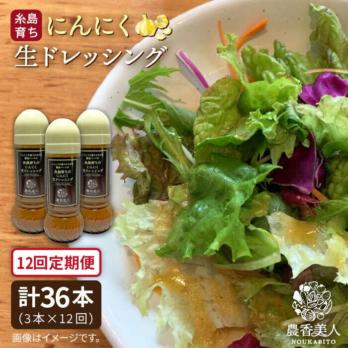 【全12回定期便】糸島そだちのにんにくドレッシング×3本セット 糸島市 / 農香美人 [AAG023] 134000円
