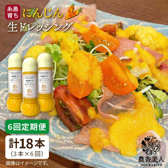 【全6回定期便】農香美人オリジナル にんじん生ドレッシング（285ml）×3本セット 糸島市 / 農香美人 [AAG034] 67000円