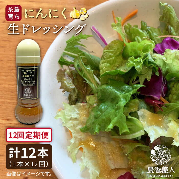 【全12回定期便】糸島そだちのにんにく 生ドレッシング（285ml×1本×12回）《糸島》糸島市 / 農香美人 [AAG038] 74000円