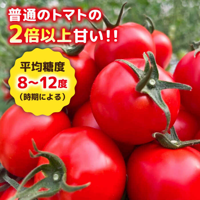 【ふるさと納税】フルティカ 2kg (1kg×2箱) 糸島市 / かわぞえ農園 [AAM006] トマト フルーツトマト トマト 24000円 2万4千円 - 画像2