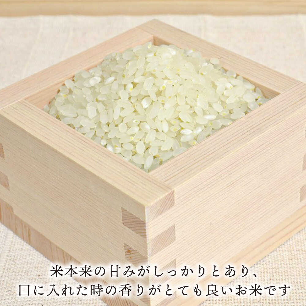 【ふるさと納税】糸島産 ヒノヒカリ 10kg 糸島市 / 糸島王丸農園 ( 谷口汰一 )【いとしまごころ】 [AAZ014] 常温 27000円 2万7千円 - 画像2