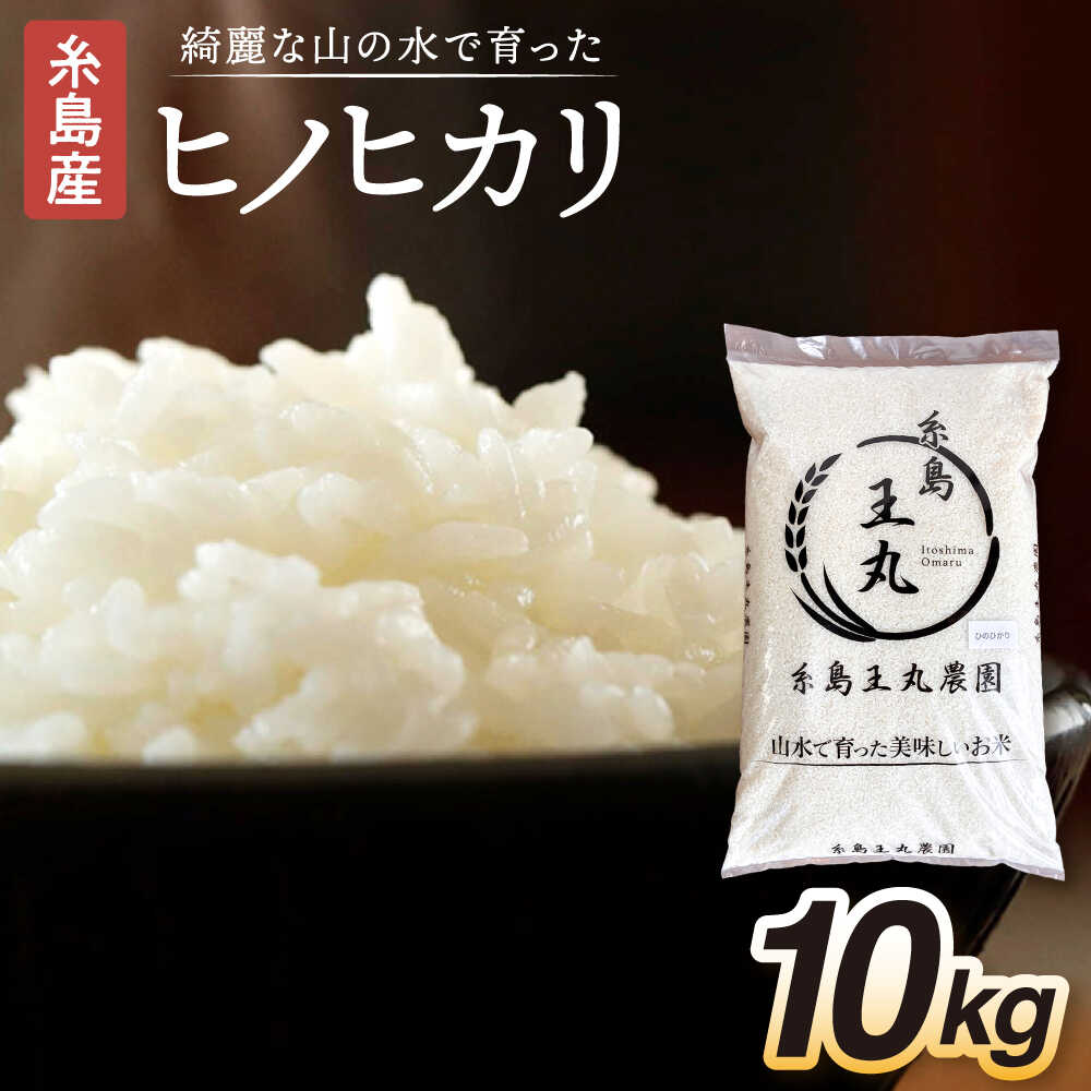 糸島産 ヒノヒカリ 10kg 糸島市 / 糸島王丸農園 ( 谷口汰一 )【いとしまごころ】 [AAZ014] 常温 27000円 2万7千円