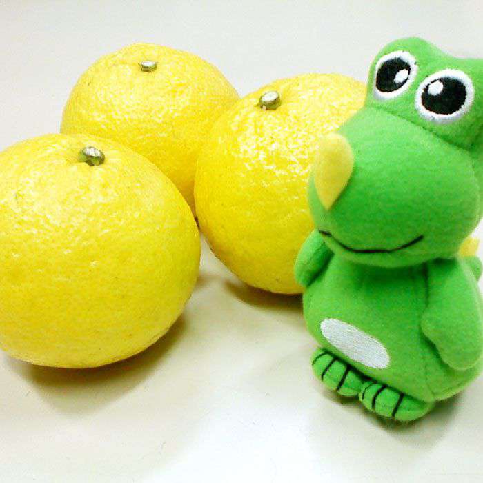 【ふるさと納税】【先行予約】爽やかに甘い！糸島産「はるか」 お試し用約3kg 【2026年3月以降順次発送】 二丈赤米産直センター [ABB003] 常温 8000円 8千円 - 画像2