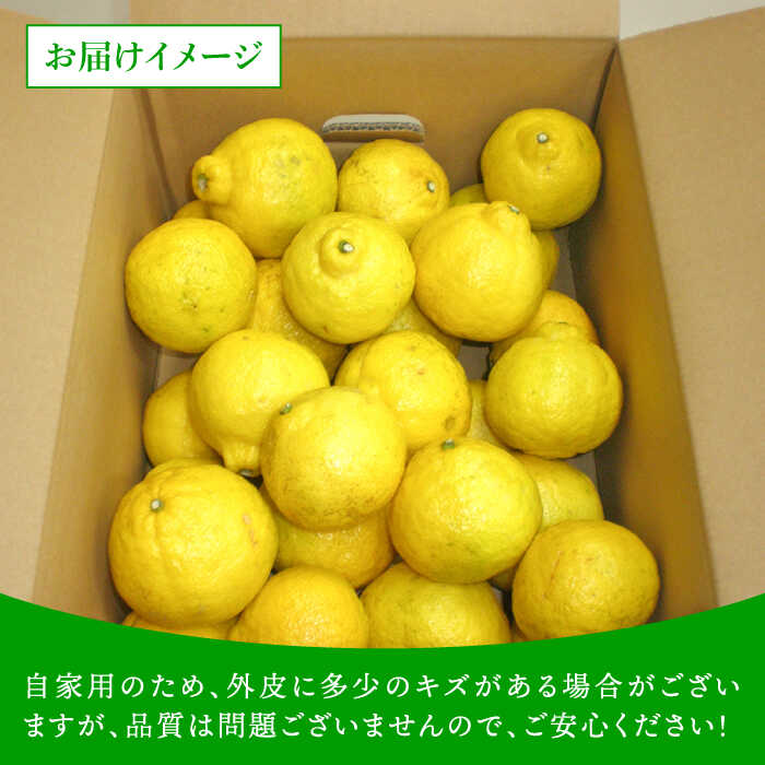 【ふるさと納税】爽やかに甘い！糸島産「はるか」 自家用約10kg【2026年3月以降順次発送】 【二丈赤米産直センター】[ABB004] 常温 15000円 1万5千円 - 画像3