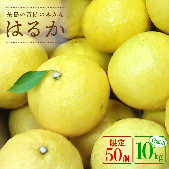 爽やかに甘い！糸島産「はるか」 自家用約10kg【2026年3月以降順次発送】 【二丈赤米産直センター】[ABB004] 常温 15000円 1万5千円