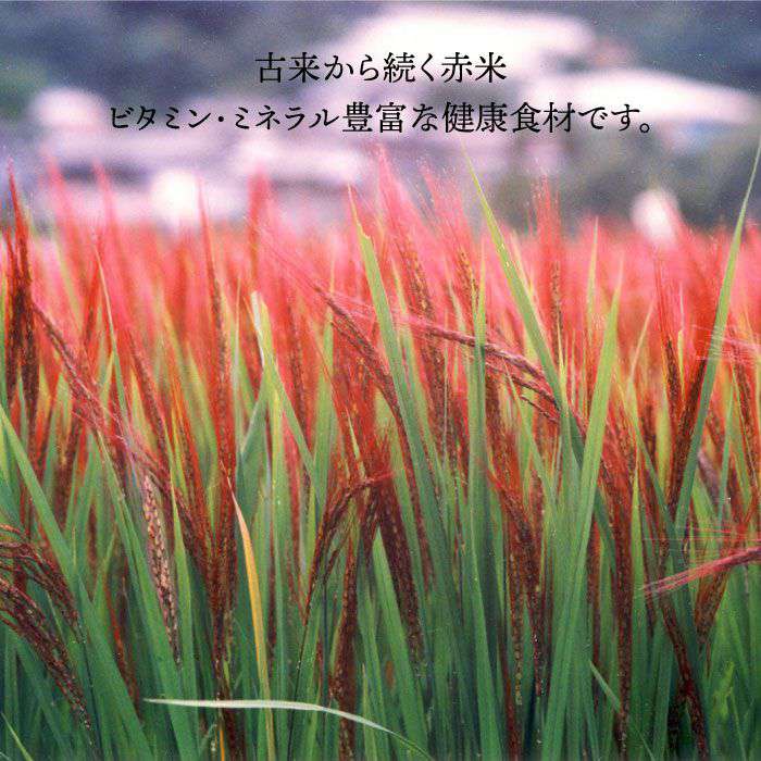 【ふるさと納税】赤米・黒米・雑穀米 / 健康ごはん の お米 セット 糸島市 / 二丈赤米産直センター [ABB009] 古代米 米 7000円 7千円 常温 サムネイル2
