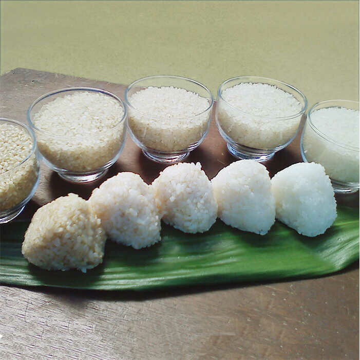 【ふるさと納税】農薬 使わない 栽培！糸島産 夢つくし 5kg 玄米 分搗き 対応《糸島》【二丈赤米産直センター】[ABB025] 米 ゆめつくし 無洗米 常温 - 画像3