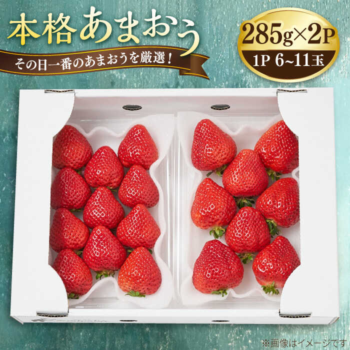【先行予約】その日一番のあまおうを即日出荷！本格 あまおう (285g×2パック) 【2026年1月以降順次発送】糸島市 / みのりのりん フルーツ 旬 [ABD002] 17000円