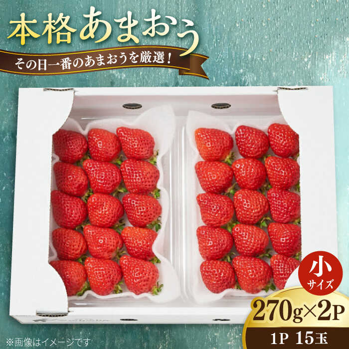 【先行予約】【農家直送！】 あまおう 小サイズ 270g×2パック 【2026年1月以降順次発送】糸島市 / みのりのりん[ABD005] 12000円 1万2千円