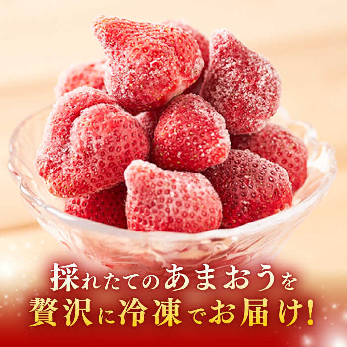 【ふるさと納税】【農家直送！】 冷凍あまおう 1kg（500g×2パック）いちご 苺 糸島市 / みのりのりん[ABD006] 11000円 1万1千円 サムネイル2