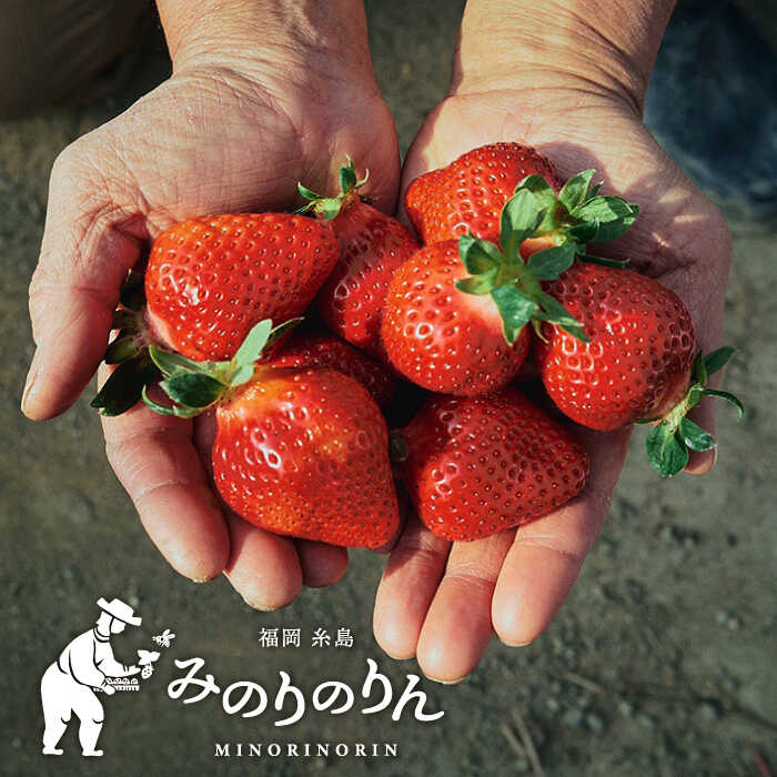 【ふるさと納税】【農家直送！】 冷凍あまおう 1kg（500g×2パック）いちご 苺 糸島市 / みのりのりん[ABD006] 11000円 1万1千円 サムネイル3