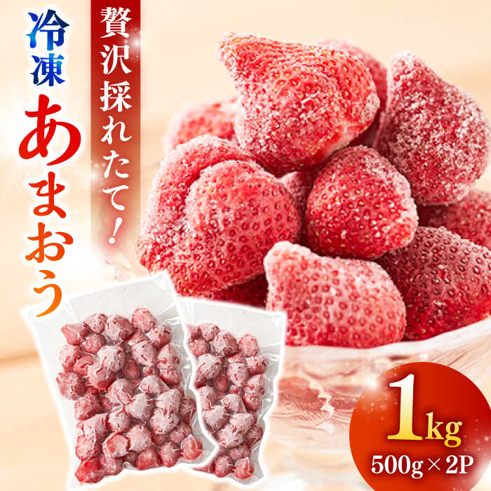 【農家直送！】 冷凍あまおう 1kg（500g×2パック）いちご 苺 糸島市 / みのりのりん[ABD006] 11000円 1万1千円