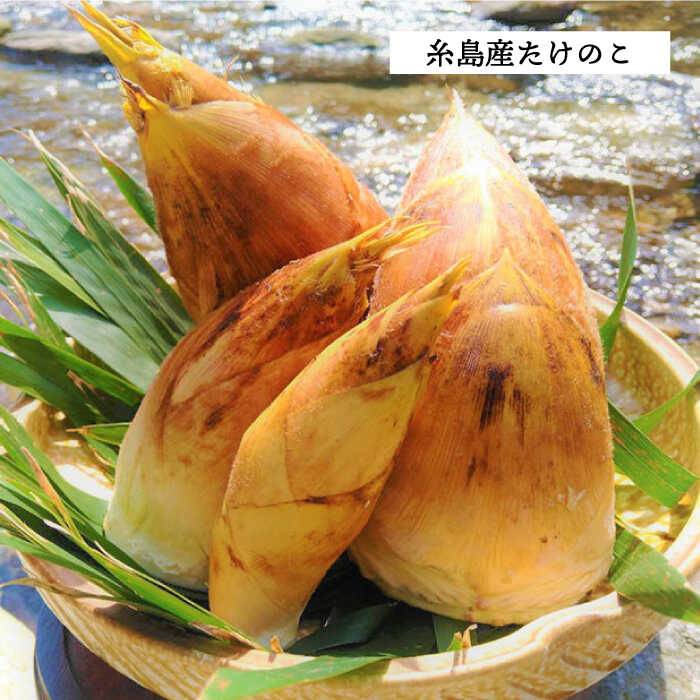 【ふるさと納税】糸島峠の筍 痺れる辛さがやみつき筍 ≪糸島市≫【糸島食品】筍/たけのこ/担々麺/麻婆豆腐/ラーメン/おつまみ[ABE012] 常温 4000円4千円 サムネイル2