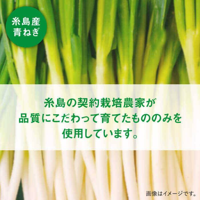 【ふるさと納税】糸島青ねぎゆず胡椒110g×5本セット≪糸島市≫【山口食品工業株式会社】ネギ/青ネギ/ゆず/柚子胡椒 [ABI001] 9000円 9千円 常温 サムネイル3