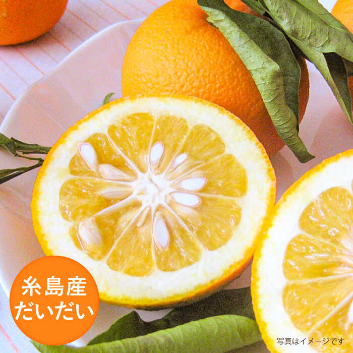 【ふるさと納税】糸島産だいだいとゆずのお酒 500ml×4本セット 糸島市 / 山口食品工業株式会社[ABI003] 常温 12000円 1万2千円 サムネイル3