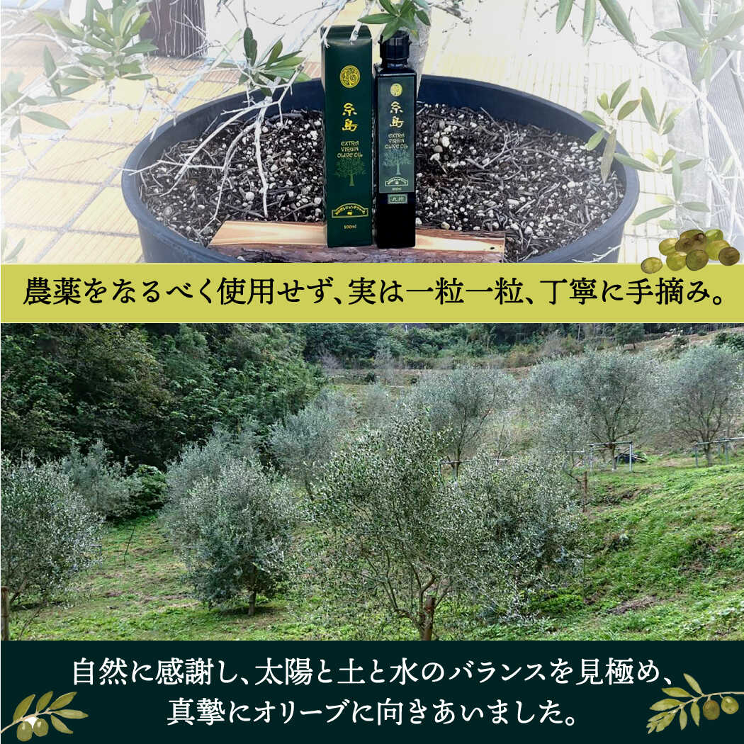 【ふるさと納税】エキストラバージン オリーブ オイル 1本（200ml）「糸島」 糸島市 / 糸島オリーブ協会[ABM001] 20000円 油 オイル サムネイル2