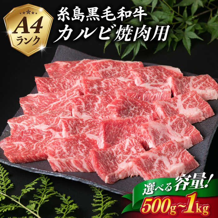 A4ランク 糸島 黒毛和牛 カルビ 焼肉用 500g/1kg 【糸島ミートデリ工房】 [ACA049] お届け内容量と回数選べる 15000円 黒毛和牛 冷凍配送