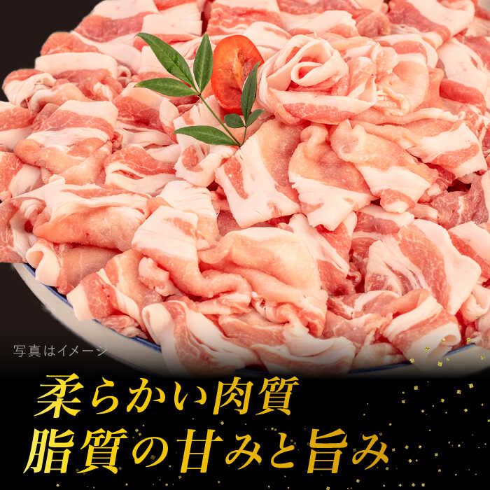 【ふるさと納税】糸島華豚 ロース肉 しゃぶしゃぶ用 1.2kg 糸島 / 糸島ミートデリ工房 [ACA092] 14000円 1万4千円 サムネイル3