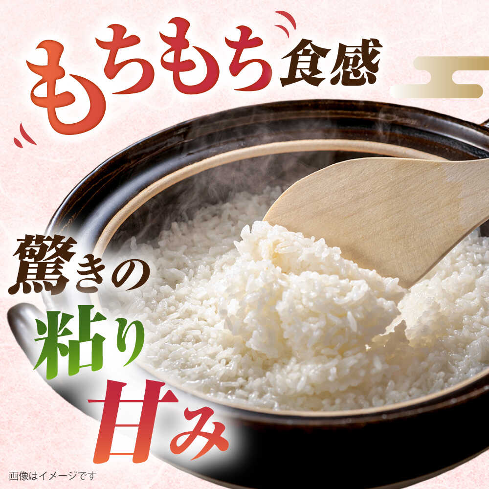 【ふるさと納税】【精米方法が選べる！】ミルキークイーン 10kg ( 5kg×2袋 ) 糸島市 / 玄米・精米専門店 新飼宗一郎商店 [ADE002] 米 10キロ 常温 - 画像2