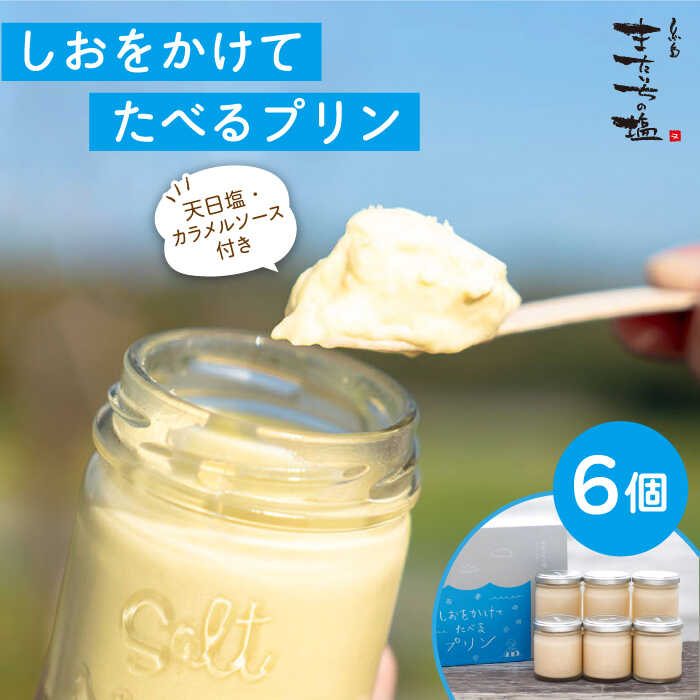 しおが主役 しおをかけてたべるプリン 花塩プレーン 6個セット 糸島市 / またいちの塩 / 新三郎商店 [AEB001] 14000円