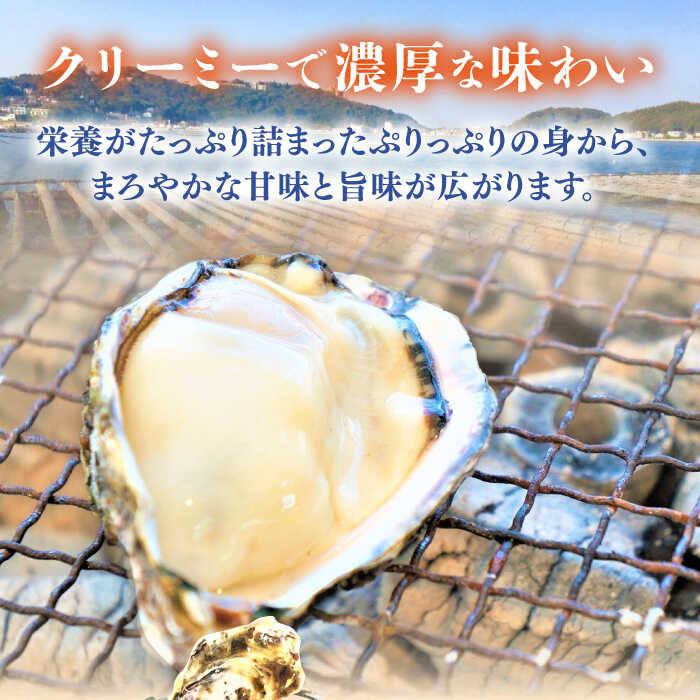 【ふるさと納税】【日時指定可】加熱用 みるくがき 3kg から付き 活牡蠣 ≪糸島≫【豊久丸】ブランド/カキ/牡蛎[AEJ005] - 画像2