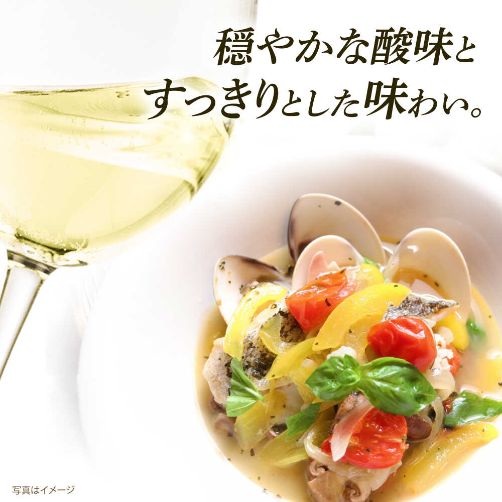 【ふるさと納税】【年内発送】【お歳暮対象】【糸島マスエワイナリ】STILL 甲州 1本 糸島市 / いとしのいとしま / ワイン お酒[AEP004] 15000円 1万5千円 サムネイル2