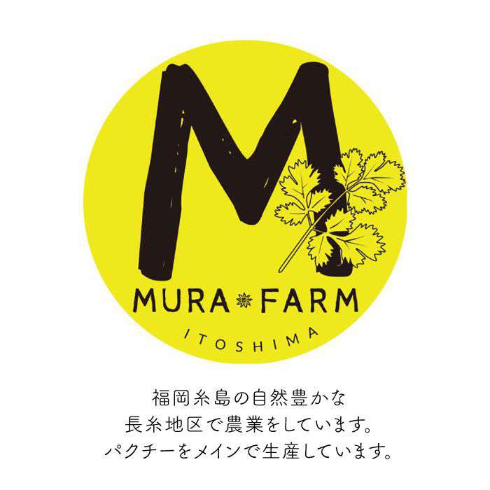 【ふるさと納税】糸島産 パクチー 600g(100g×6袋) 糸島市 / MURA FARM [AFD001] 10000円 1万円 - 画像3