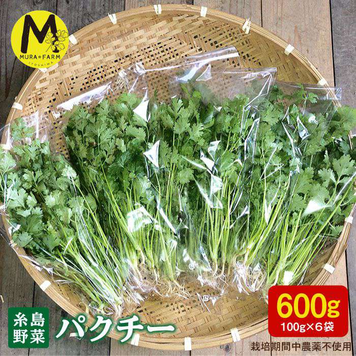 糸島産 パクチー 600g(100g×6袋) 糸島市 / MURA FARM [AFD001] 10000円 1万円