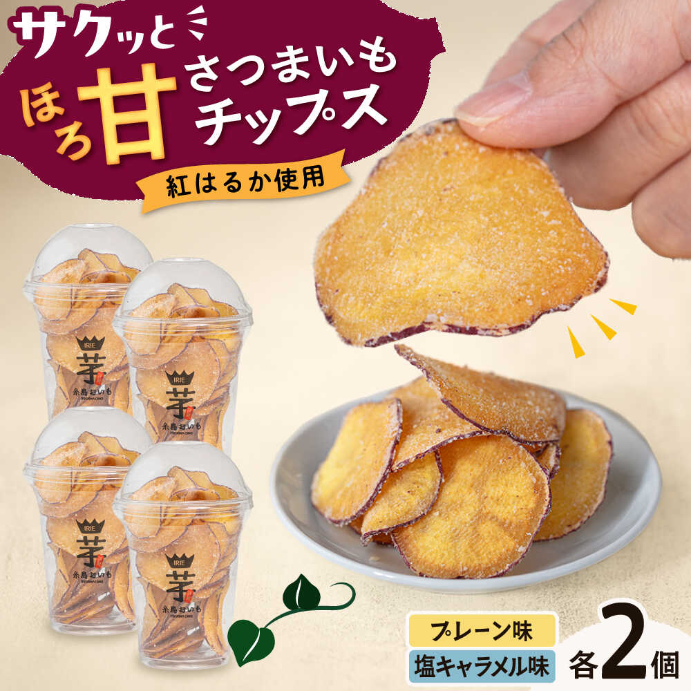 入江農園 さつまいもチップス（プレーン味・塩キャラメル味 各2個）4個入り 糸島市 / いとのKIKORI[AFR004] 9000円 9千円