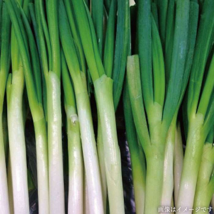 【ふるさと納税】朝採れ！ 栽培期間中無農薬野菜 （ 7品 前後 ） セット ＋ 果物 《糸島》【オーガニックナガミツファーム】 [AGE004] 12000円 1万2千円 - 画像2