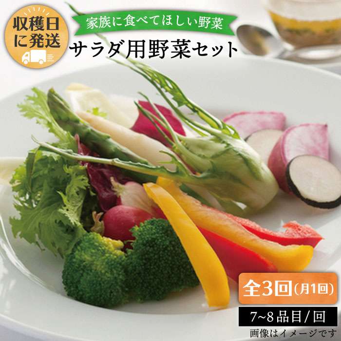 【 全3回 定期便 】【 福岡県 糸島産 】 朝採れ サラダ用 野菜 セット 《糸島》【オーガニックナガミツファーム】 [AGE005] 43000円 4万3千円