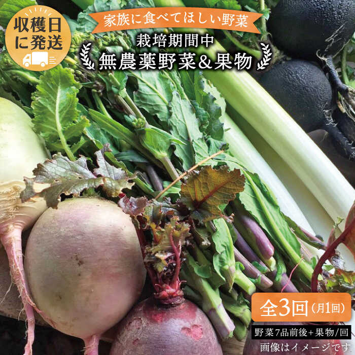 【 全3回 定期便 】 こだわり 野菜 ( 7品 前後 ) セット ＋ 果物 《糸島》【オーガニックナガミツファーム】 [AGE007] 35000円 3万5千円