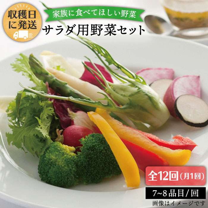 【 全12回 定期便 】 【 福岡県 糸島産 】 朝採れ サラダ用 野菜 セット 《糸島》【オーガニックナガミツファーム】 [AGE011] 172000円 17万2千円