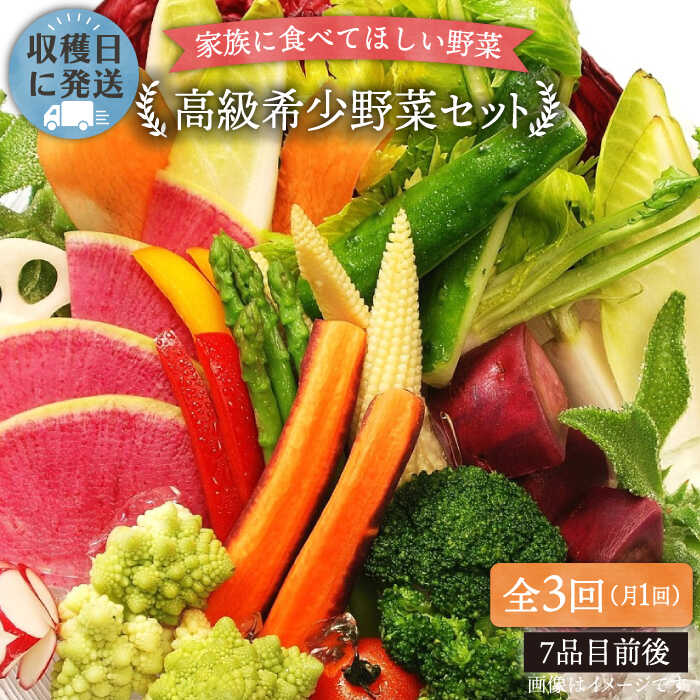 【 全3回 定期便 】【 農薬・化学肥料 不使用 】こだわり 高級希少野菜 セット （ 7品前後 ） 《糸島》【オーガニックナガミツファーム】 [AGE016] 80000円 8万円