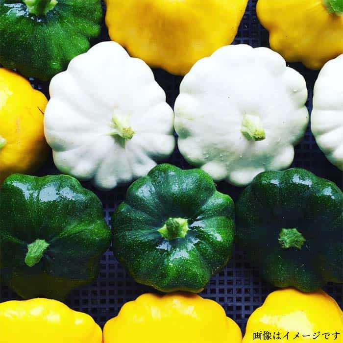 【ふるさと納税】【 全6回 定期便 】【 農薬・化学肥料 不使用 】こだわり 高級希少野菜 セット （ 7品 前後 ） 《糸島》【オーガニックナガミツファーム】 [AGE017] 160000円 16万円 - 画像2