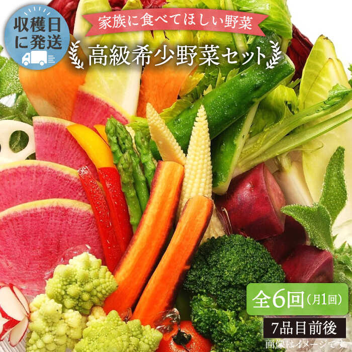 【 全6回 定期便 】【 農薬・化学肥料 不使用 】こだわり 高級希少野菜 セット （ 7品 前後 ） 《糸島》【オーガニックナガミツファーム】 [AGE017] 160000円 16万円