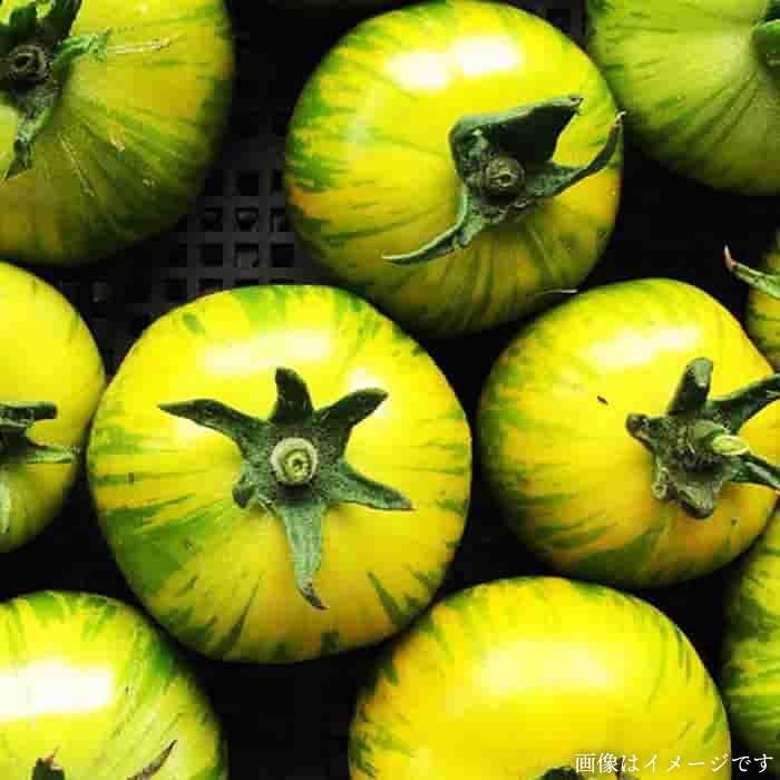 【ふるさと納税】【 全12回 定期便 】【 農薬・化学肥料 不使用 】こだわり 高級希少野菜 セット （ 7品 前後 ） 《糸島》【オーガニックナガミツファーム】 [AGE018] 320000円 32万円 - 画像3