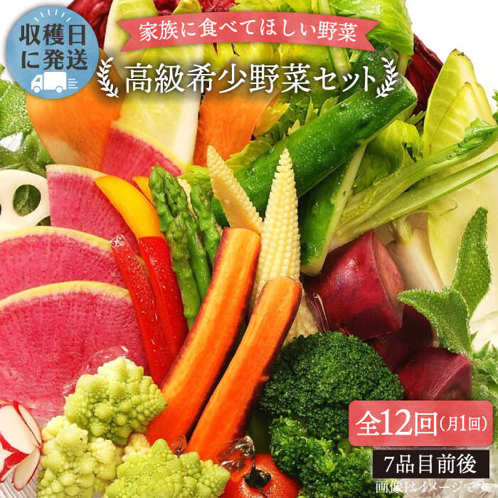 【 全12回 定期便 】【 農薬・化学肥料 不使用 】こだわり 高級希少野菜 セット （ 7品 前後 ） 《糸島》【オーガニックナガミツファーム】 [AGE018] 320000円 32万円