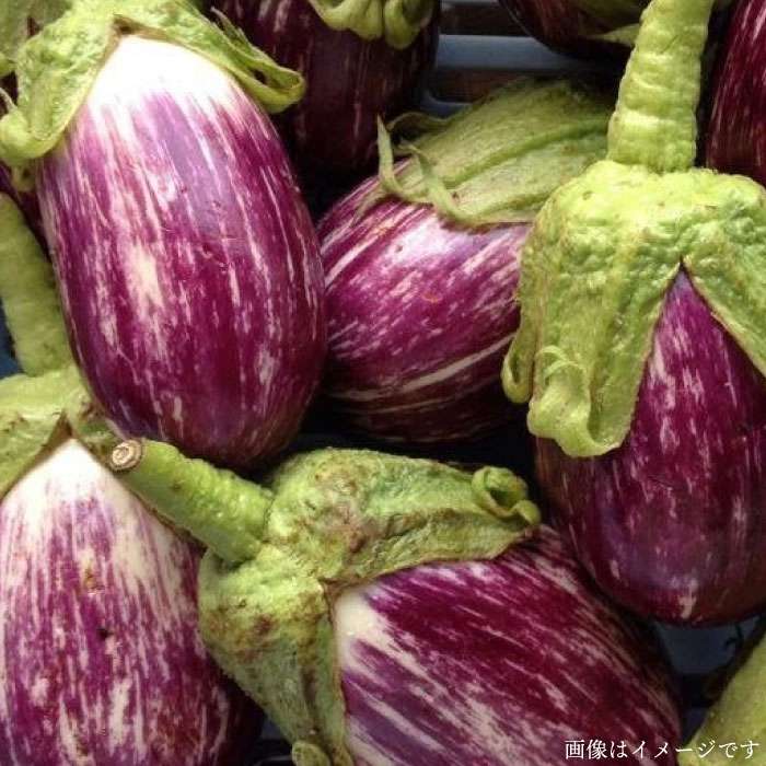 【ふるさと納税】【 全12回定期便 】【 福岡県 糸島産 】朝採れ 温野菜＆生食野菜セット《糸島》【オーガニックナガミツファーム】[AGE021] 172000円 17万2千円 - 画像2