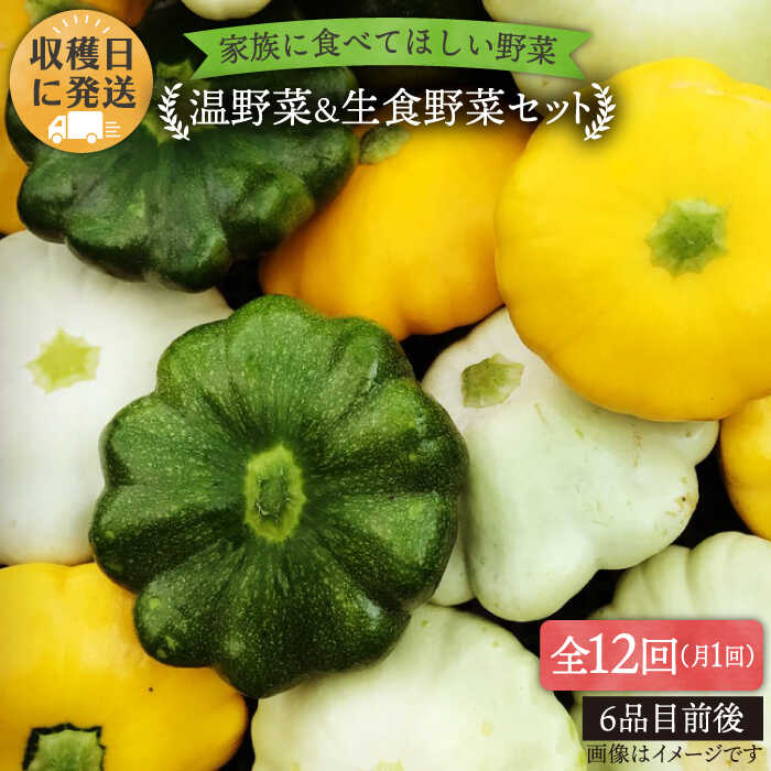 【 全12回定期便 】【 福岡県 糸島産 】朝採れ 温野菜＆生食野菜セット《糸島》【オーガニックナガミツファーム】[AGE021] 172000円 17万2千円