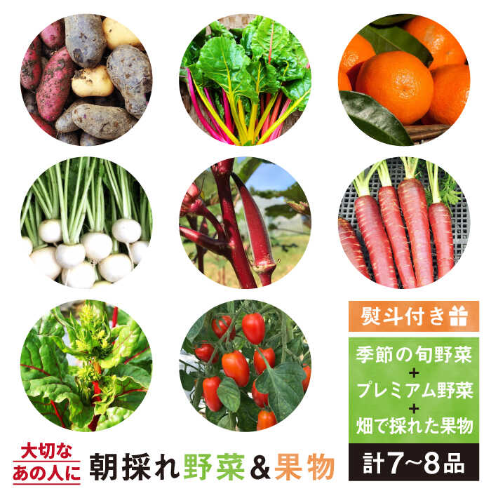 【贈答用】無農薬野菜セット＋果物（8品前後）《糸島》【オーガニックナガミツファーム】 [AGE022] 14000円 1万4千円