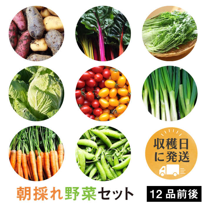 【 福岡県 糸島産 】 朝採れ 野菜 セット （ 12品 前後 ） 《糸島》【オーガニックナガミツファーム】 [AGE023] 16000円 1万6千円