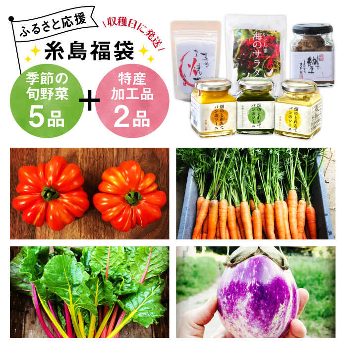【 糸島 の 福袋 ！ 】朝採り オーガニック 旬 野菜 お任せ 5品 ＋ 糸島産 大ヒット 特産 加工品 2品 のセット《糸島》【オーガニックナガミツファーム】 [AGE028] 15000円 1万5千円