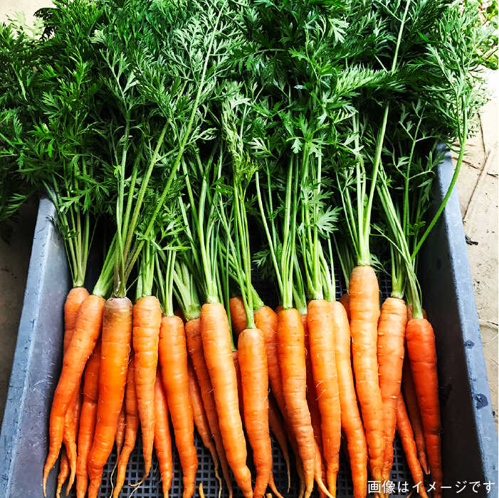 【ふるさと納税】【 全3回 定期便 】朝採り オーガニック 旬 野菜 お任せ 5品 ＋ 糸島産 大ヒット 特産 加工品 2品 のセット《糸島》【オーガニックナガミツファーム】[AGE029] 45000円 4万5千円 - 画像3