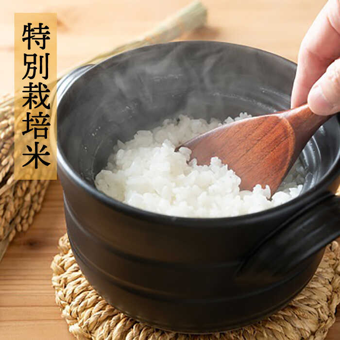 【ふるさと納税】【全3回定期便】【☆畑直送☆栽培期間中農薬不使用！】お 米 2kg & 野菜 5品 の セット 糸島市 / オーガニックナガミツファーム [AGE036] 52000円 5万2千円 - 画像2