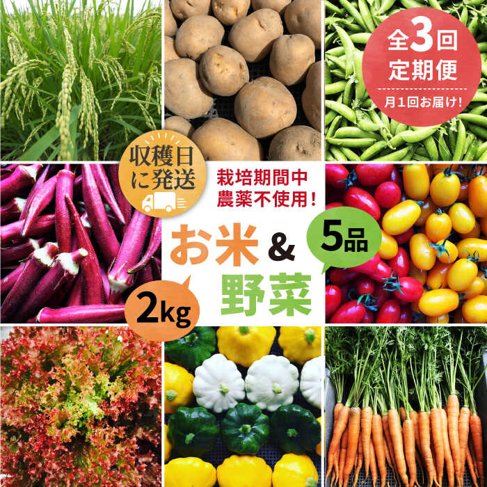【全3回定期便】【☆畑直送☆栽培期間中農薬不使用！】お 米 2kg & 野菜 5品 の セット 糸島市 / オーガニックナガミツファーム [AGE036] 52000円 5万2千円