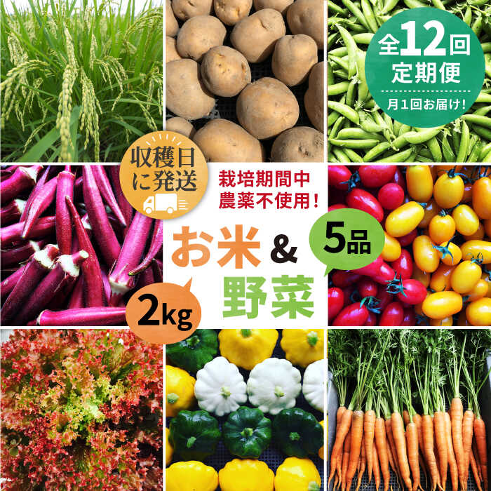 【全12回定期便】【☆畑直送☆栽培期間中農薬不使用！】お 米 2kg & 野菜 5品 の セット 糸島市 / オーガニックナガミツファーム [AGE038] 206000円 20万6千円